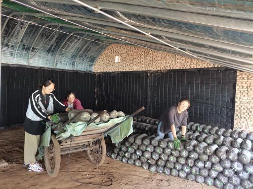 a269d9edd69541709b792f282315d8f5