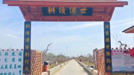 慶陽研學(xué)旅行主題線路之六：桃隱莊園
