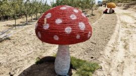 華池縣元城鎮(zhèn)：“黨建紅”掩映農(nóng)文旅產(chǎn)業(yè)“生態(tài)綠”