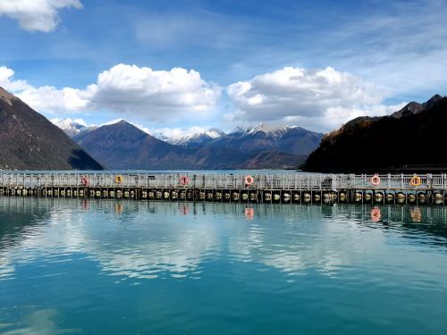 看見(jiàn)西藏：天路格桑花  攝影/徐治財(cái)