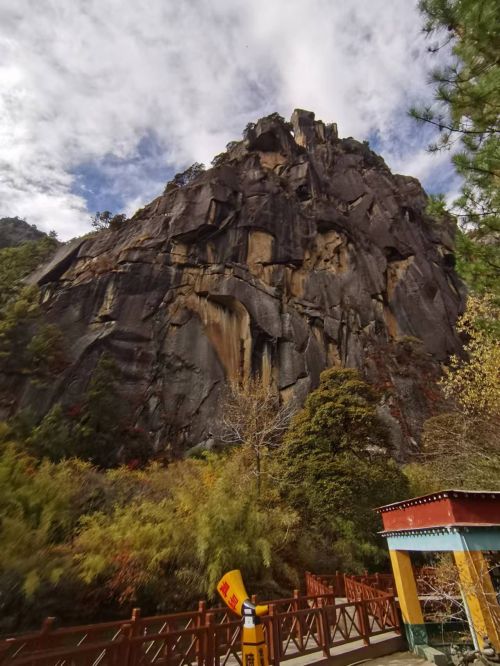 看見(jiàn)西藏：天路格桑花  攝影/徐治財(cái)