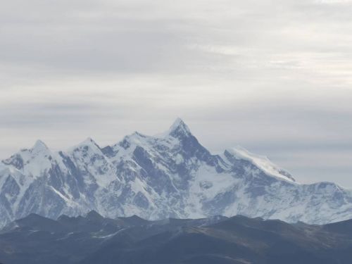 看見(jiàn)西藏：天路格桑花  攝影/徐治財(cái)