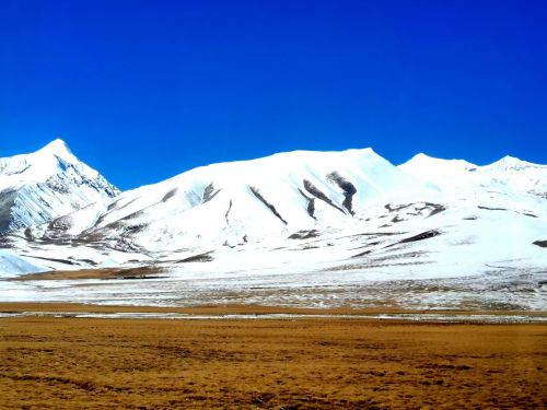 看見(jiàn)西藏：天路格桑花  攝影/徐治財(cái)