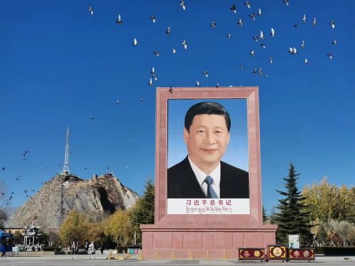 看見(jiàn)西藏：天路格桑花  攝影/徐治財(cái)