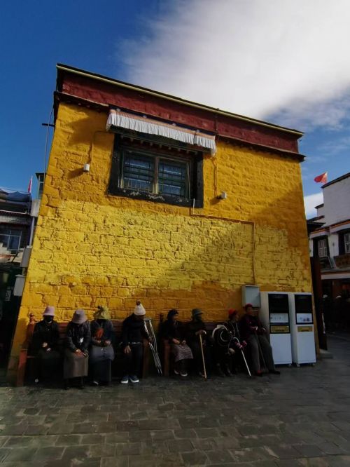 看見(jiàn)西藏：天路格桑花  攝影/徐治財(cái)