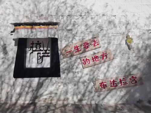 看見(jiàn)西藏：天路格桑花  攝影/徐治財(cái)