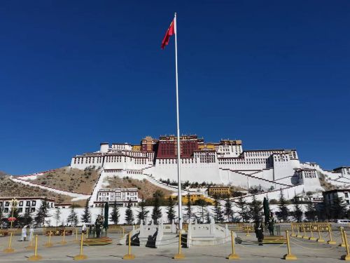 看見(jiàn)西藏：天路格桑花  攝影/徐治財(cái)