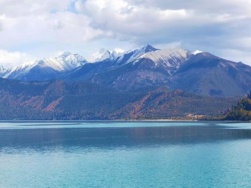 看見(jiàn)西藏：天路格桑花  攝影/徐治財(cái)