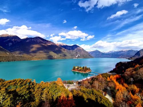 看見(jiàn)西藏：天路格桑花  攝影/徐治財(cái)