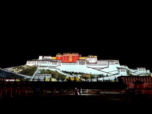 看見(jiàn)西藏：天路格桑花  攝影/徐治財(cái)