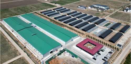 9924dcc4144142798c10d606d813b097