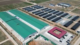 西峰區(qū)：以“三元雙向”模式推動農(nóng)業(yè)提質(zhì)增效