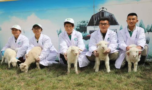 1261d33e24e94d58aff3e285df0942ab