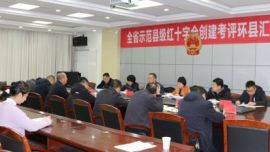 甘肃省红十字会考评环县省示范县级红十字会创建工作