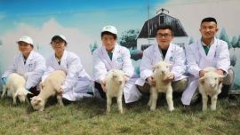 科技赋能打造“中国羊谷” ——记环县省级农业科技园区