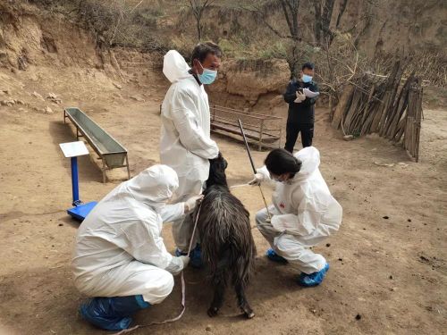 6cbd35757867459a86d1cd43cd98ddc9