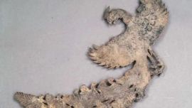 尋寶博物館丨銀鳳凰