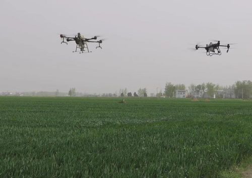 0ec1ffc98ad34ef1a6f9ca6a96c7a89c