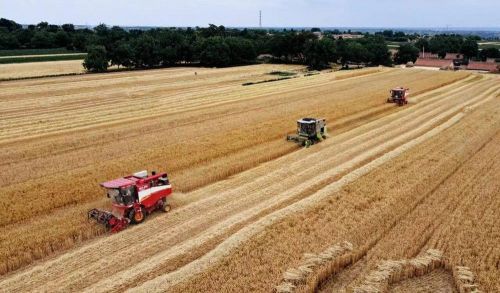 facd1215916c4754965b9cc1dd4e9bd5