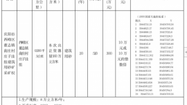 庆阳市采矿权拍卖出让公告