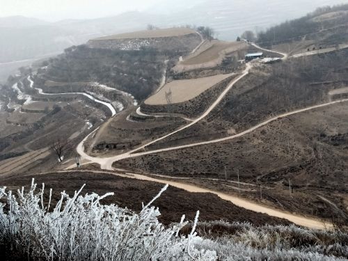 又是一年小寒到 周著銘/攝