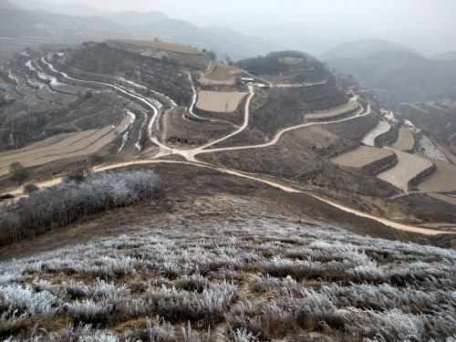 又是一年小寒到 周著銘/攝