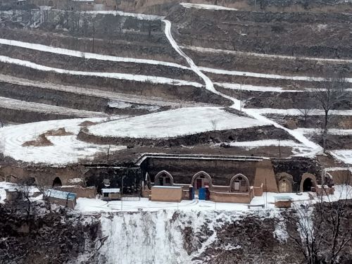 又是一年小寒到 周著銘/攝