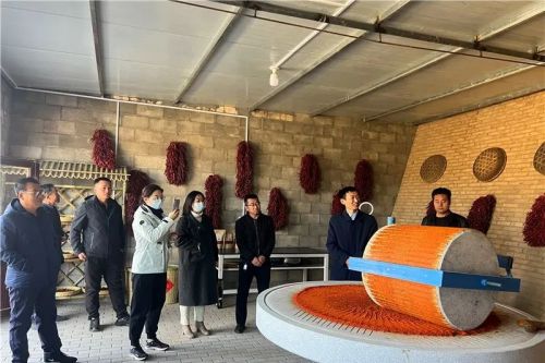 傳統(tǒng)農(nóng)耕文化石碾辣子吸引了眾多游客。