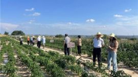 環(huán)縣莊子峁：農(nóng)文旅融合助力鄉(xiāng)村振興的共富實踐