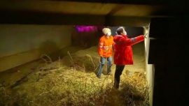 鎮(zhèn)原公路段下好“五步棋” 護航冬季道路安全暢通