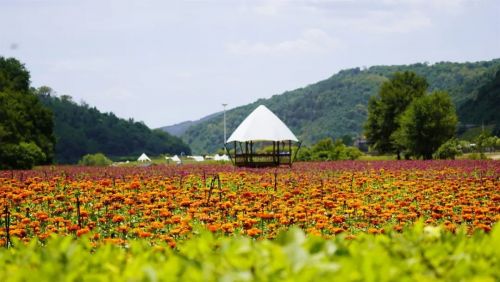 圖源：慶陽市文體廣電和旅游局