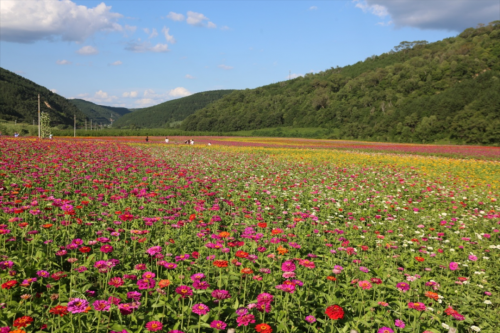 圖源：慶陽市文體廣電和旅游局