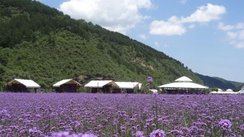 圖源：慶陽市文體廣電和旅游局