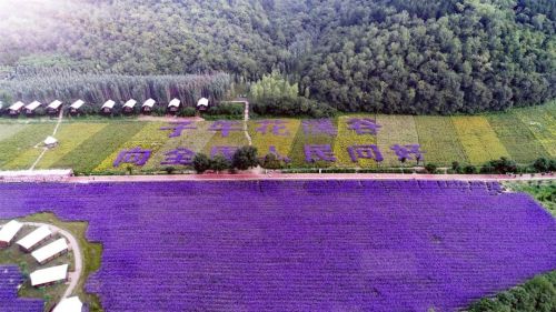 圖源：慶陽市文體廣電和旅游局