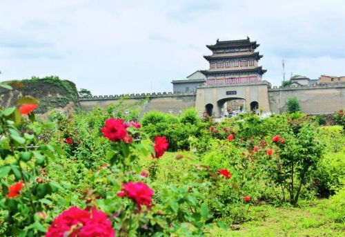 圖源：慶陽市文體廣電和旅游局