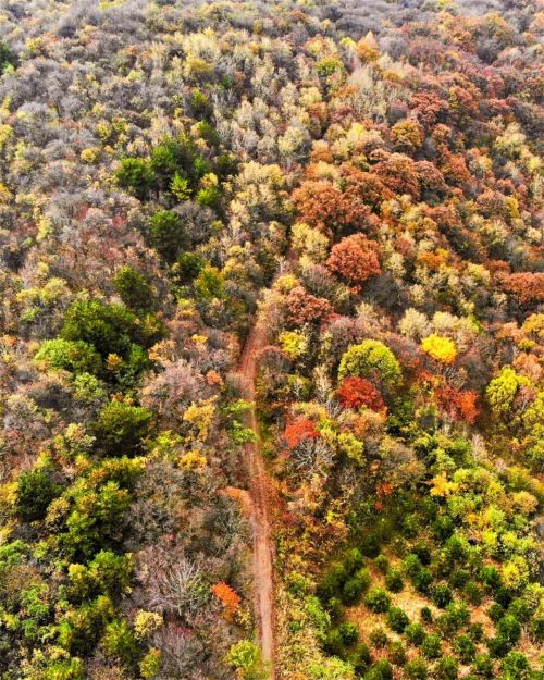 圖源：慶陽市文體廣電和旅游局