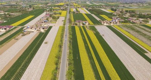 圖源：慶陽市文體廣電和旅游局