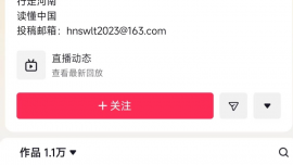 各地文旅官方账号“杀疯了”：河南文旅日更35条视频，吉林河北文旅连夜改名……