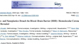外賣中的微塑料僅2小時(shí)就能進(jìn)入大腦！別擔(dān)心，減少塑料污染方法有很多