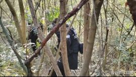 涉嫌殺害前妻嫌疑人李小龍被捕，此前警方曾懸賞通緝