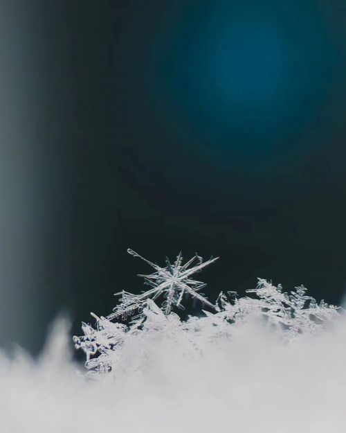 攝影師：希言自然