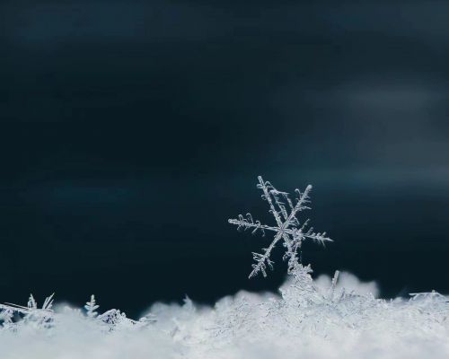 攝影師：希言自然