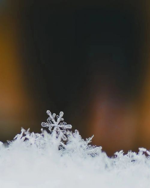 攝影師：希言自然