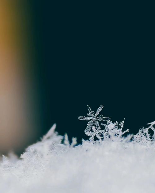 攝影師：希言自然