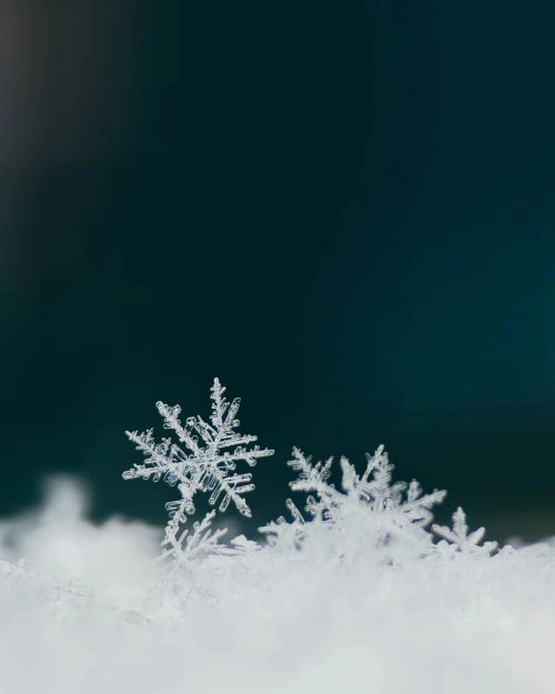 攝影師：希言自然