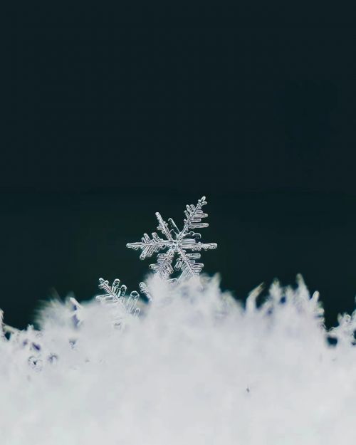 攝影師：希言自然