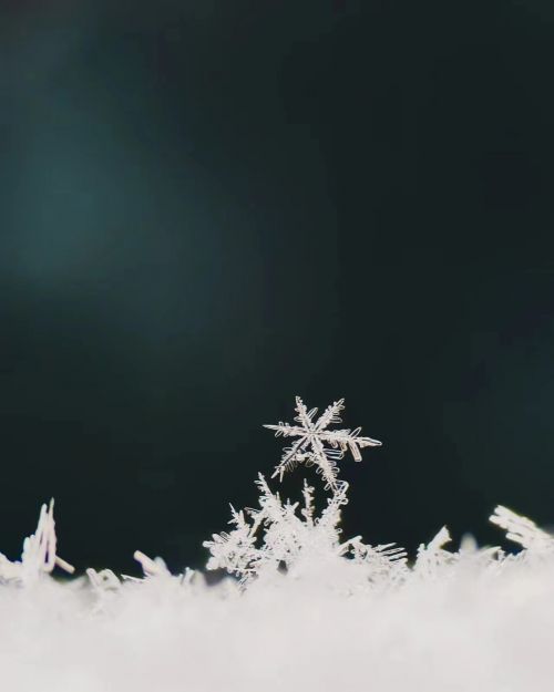 攝影師：希言自然