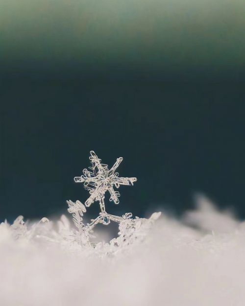 攝影師：希言自然