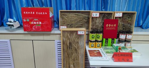 微信图片_20240202163357