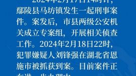 河南鄢陵縣重大刑案嫌疑人被抓獲